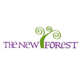New Forest Official Website